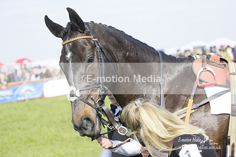 PtP 200322 272 - Mendip Farmers Point-to-Point 20/03/22