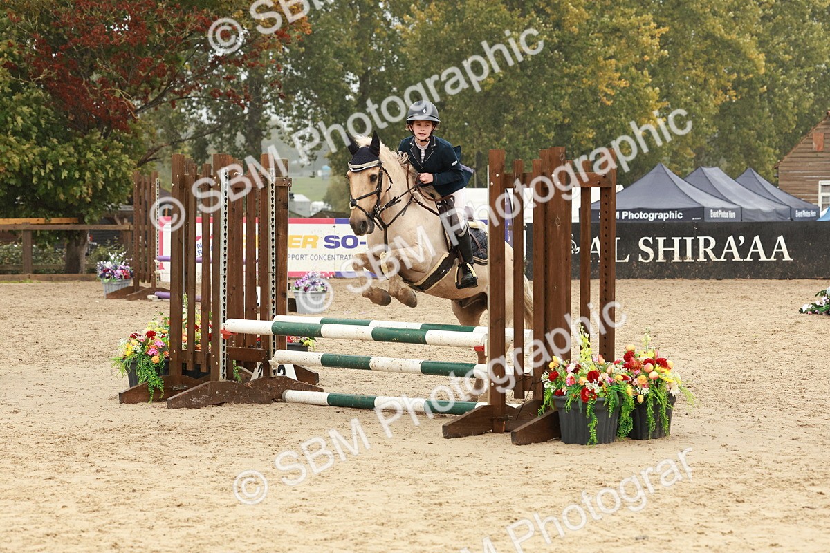SBM_73301 - Supreme Championship Junior Pony 60cm & 65cm