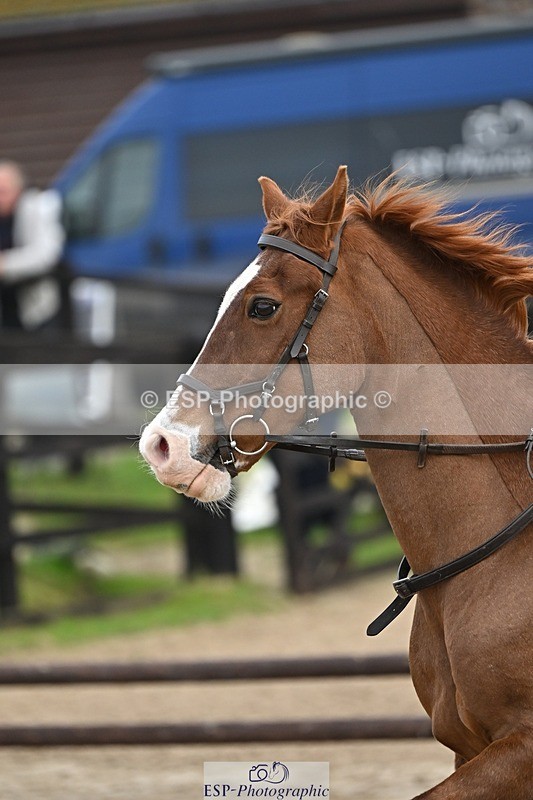 241110-100230-00168 - 40cm Showjumping
