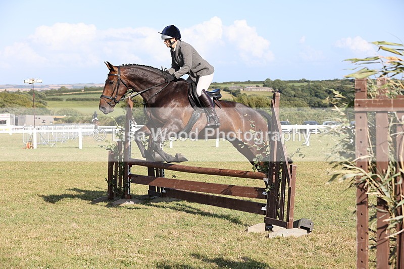 JPP_3126 - Class 21: Working Hunter 80cm