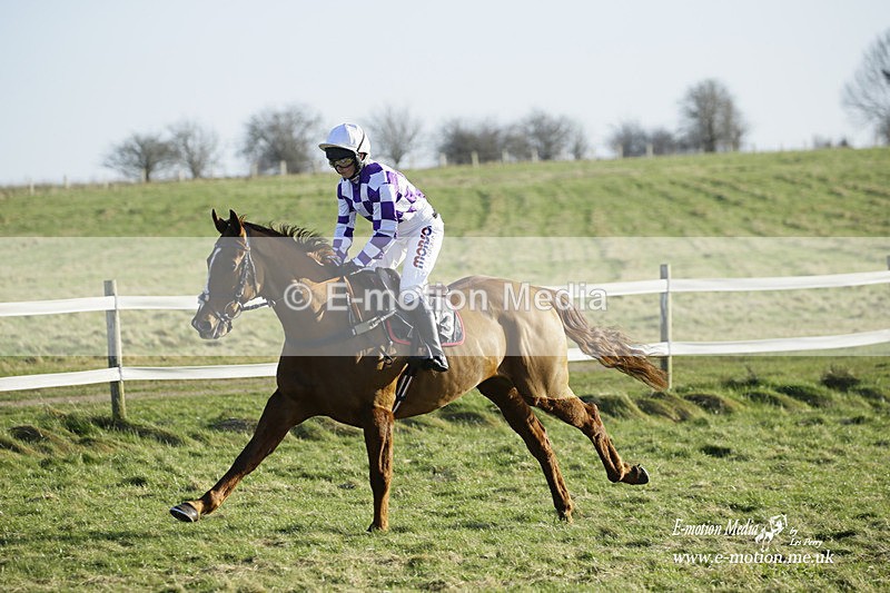 PtP 270222 431 - South & West Wilts Point-to-Point Larkhill 27/02/22