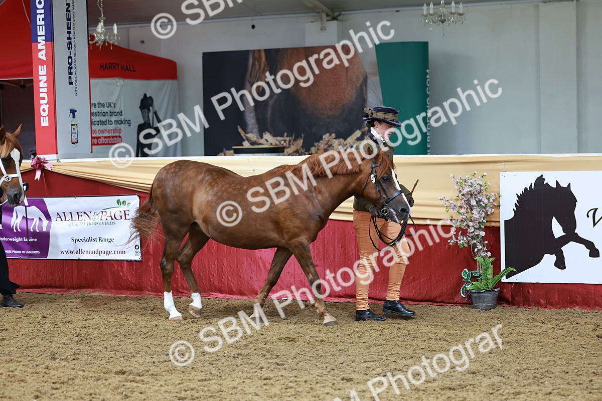 SBM_17308 - Class 951 - M&M IH Supreme Final