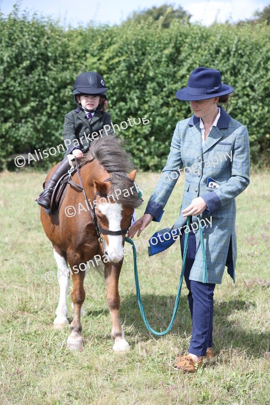 20250831-2751 - Class 17 - Lead Rein Pony