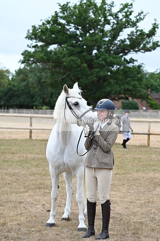 WJ7_9121 - Class 4a Prettiest Mare 14.2hh and over