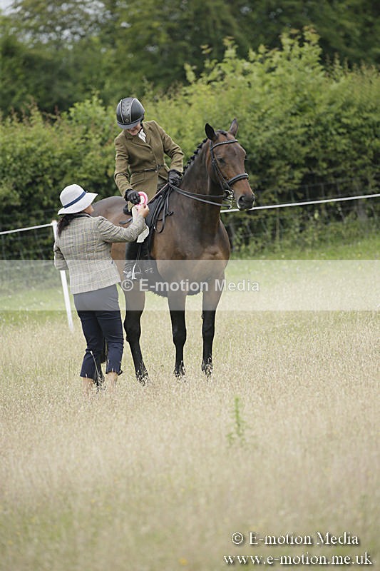 B230619-0800 - Bourne Valley Riding Club Summer Show 23/06/19