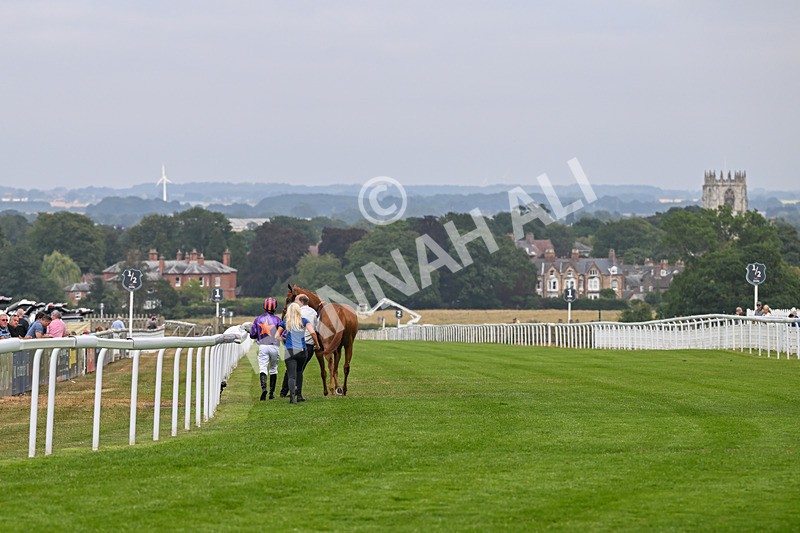140726-Zivas Star-1295 - Race 5 16.23pm Connexin Gigabit Gallop Handicap