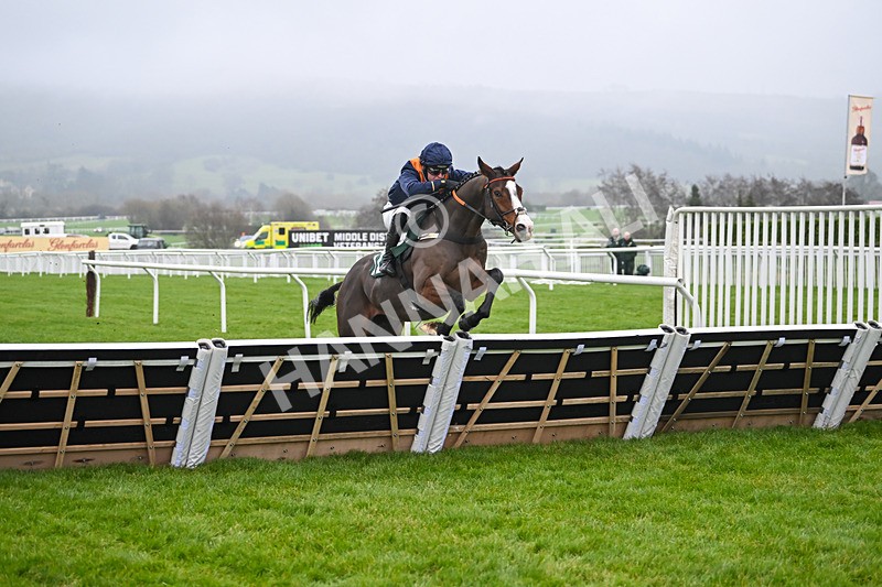 131224-Race 3-Mirabad-8883 - Race 3