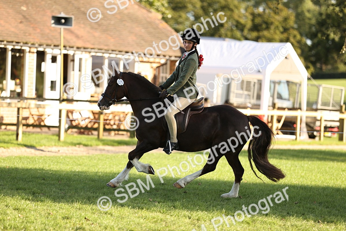 SBM_29602 - S7 - Novice & Newcomers Ridden Pony