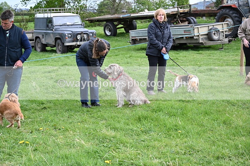 WJ6_8067 - Class 2 Best Pedigree