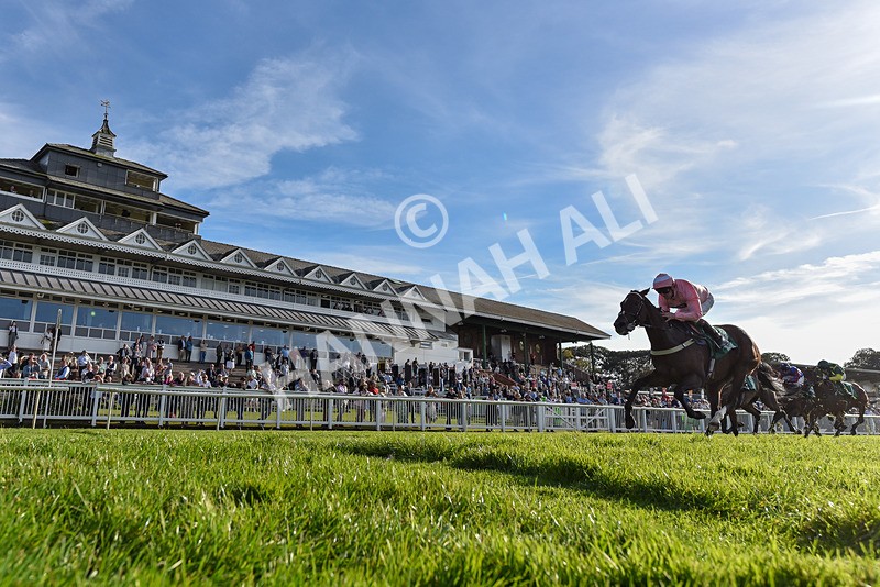 160924-Race 7-Style Of Life-6902 - Race 7