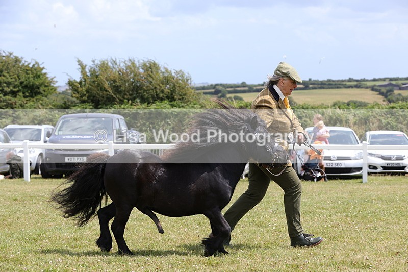 1X9A4849 - Class 35: Veteran In Hand