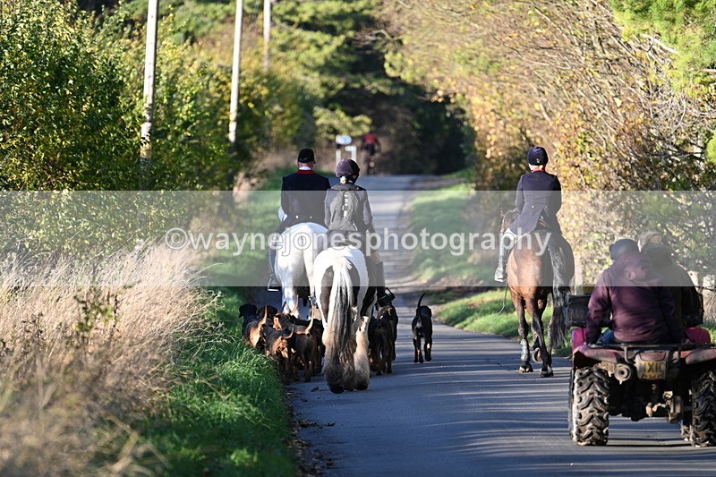WJ7_8665 - Walk Home