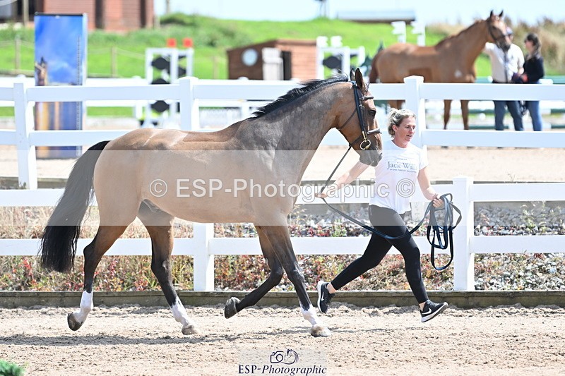 240717A-150437-02509 - Trot Up 3pm to 4pm