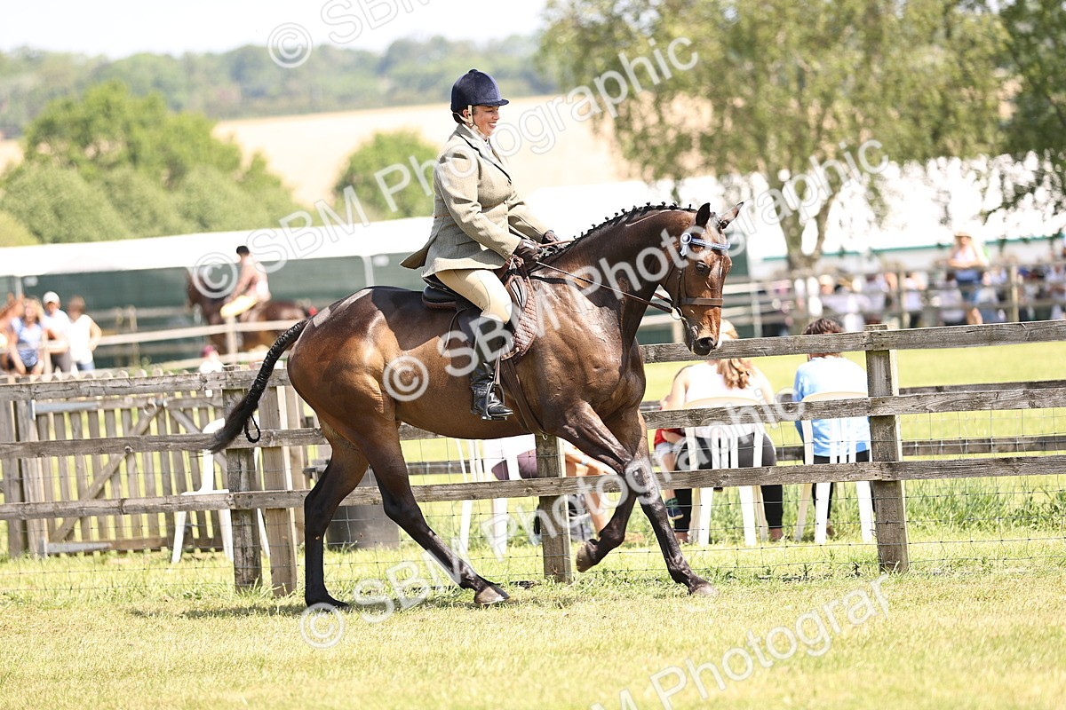 SBM_14879 - Class 78 - LIHS BSHA Open Racehorse & Show Horse