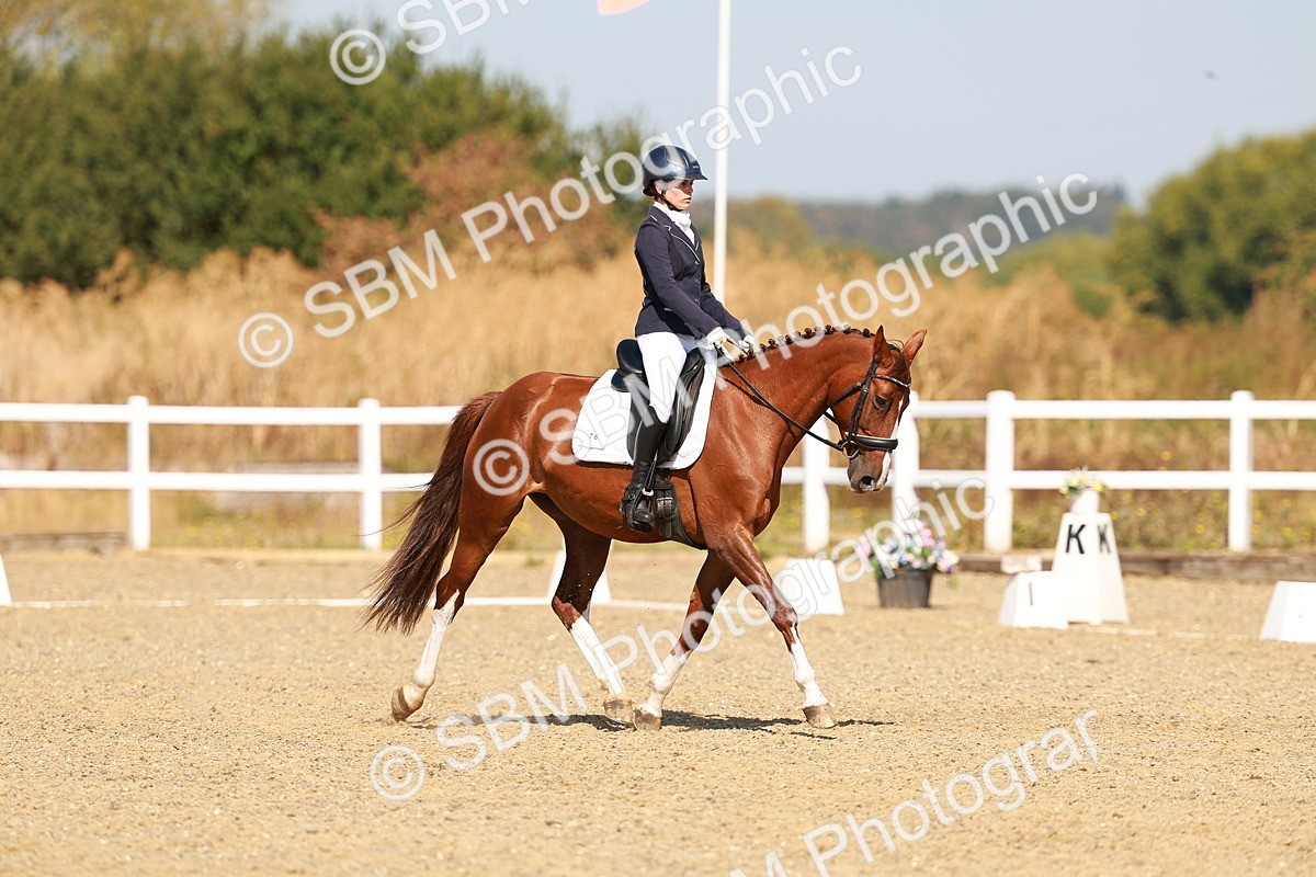 SBM_017631 - Class 9 - N5 Bronze 10.33.11.36