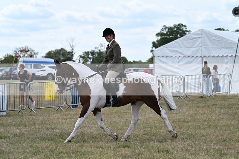 WJ7_4988 - Class 12 Ridden Cob