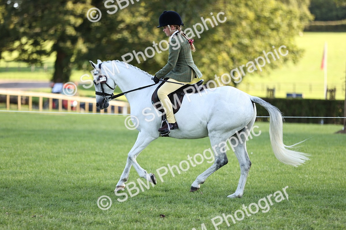 SBM_29460 - S7 - Novice & Newcomers Ridden Pony