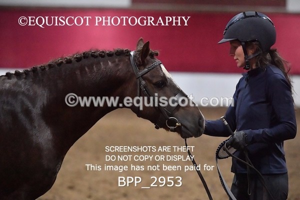 BPP_2953 - LOOSE JUMPING / SPSS