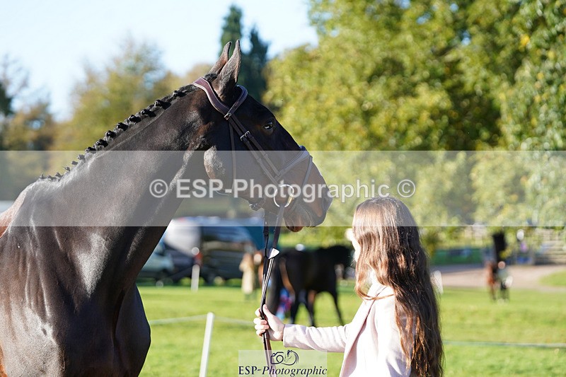 241026-101104-11674 - 016-Liberty.Smith-MODEL.T