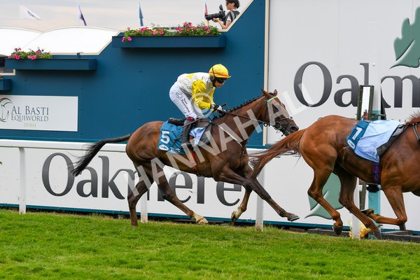 170623-Race 1-Kihavah-0221 - Race 1 2.00pm Queen Mother's Cup Handicap