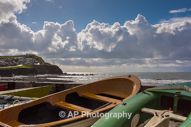 ACP_7951-1 - Borth
