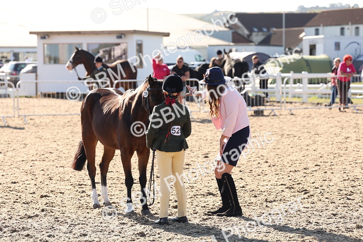 SBM_11677 - Class 203 - Young Handler 11 to 16 years