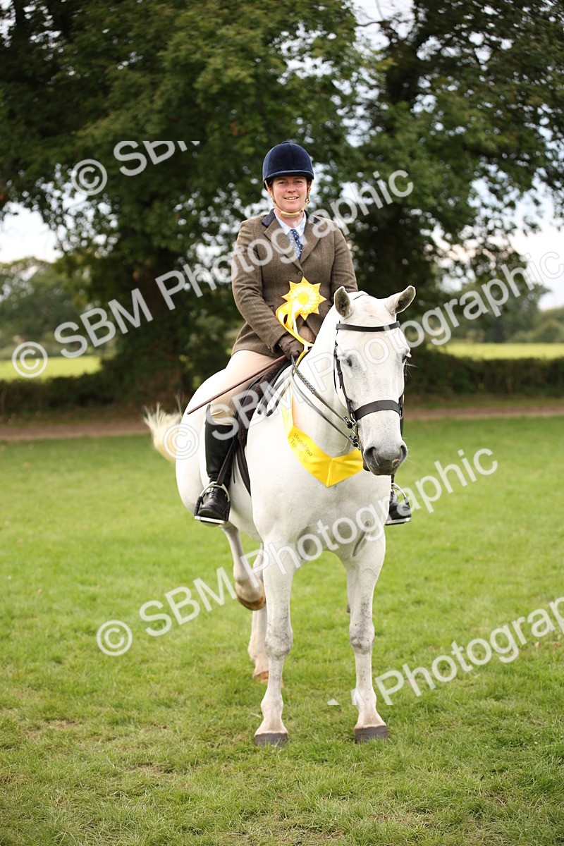 SBM_72403 - S67 - Show Cob Ridden