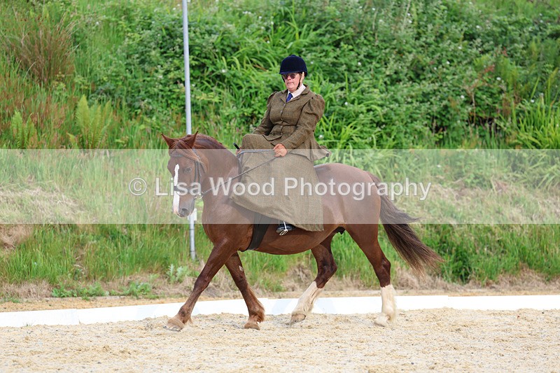 3E7A2058 - Class 3: Prelim 2 2024 Section A