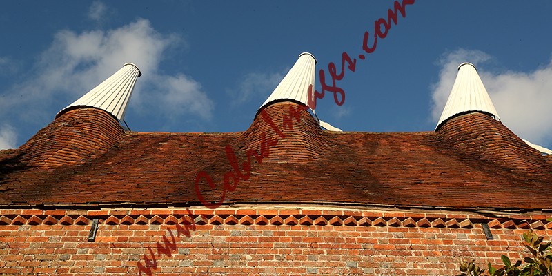24 - Great Dixter, early November 2020