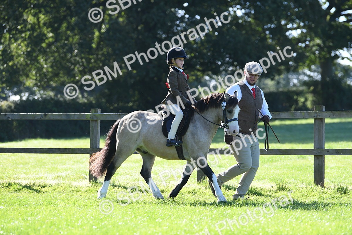 SBM_36756 - S18 - Novice & Newcomers Lead Rein Pony