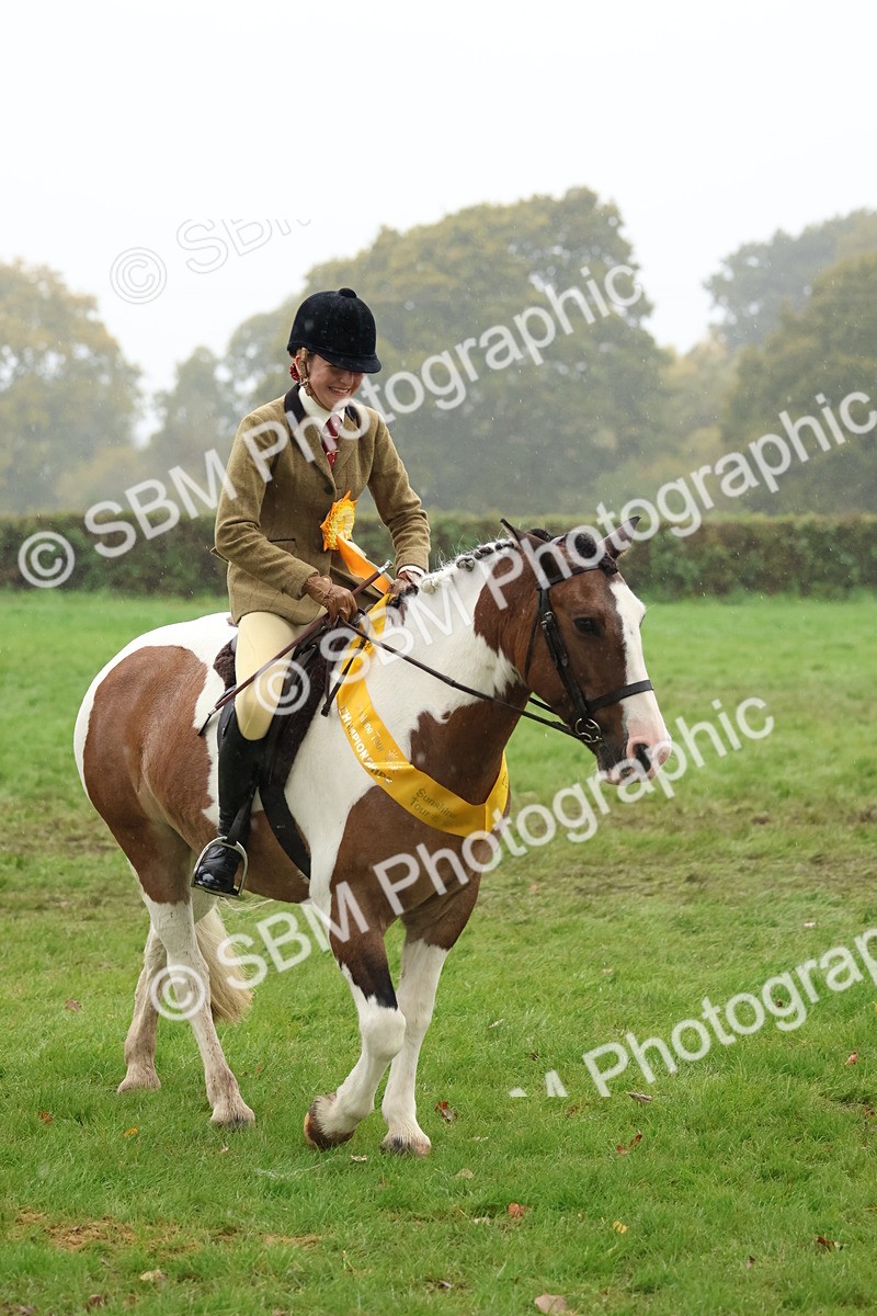 SBM_73145 - Ridden Pony Supreme Championship