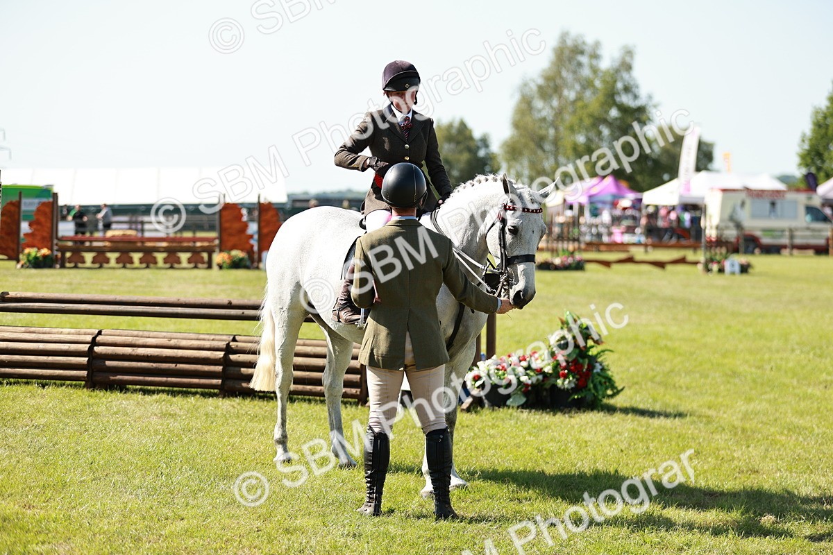 SBM_18942 - Class 114 - RIHS & SEIB Open Working Show Horse