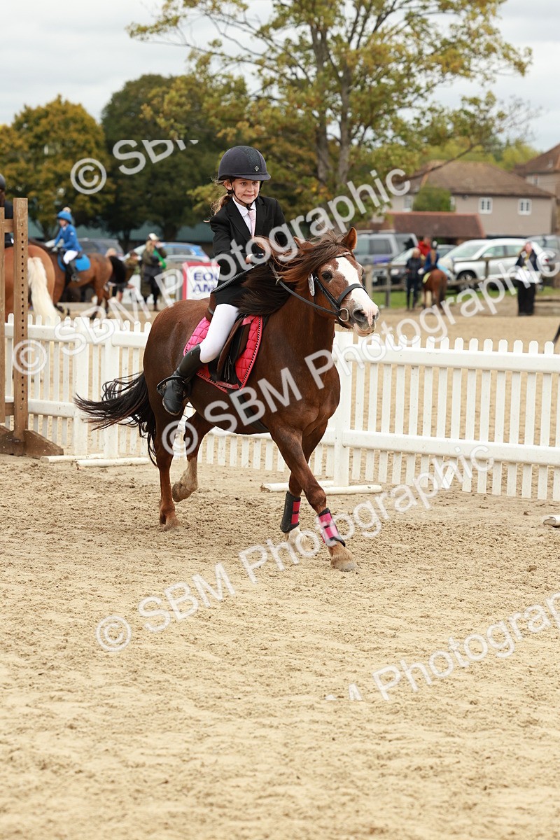 SBM_67094 - J13 - Junior Pony 60cm Championship