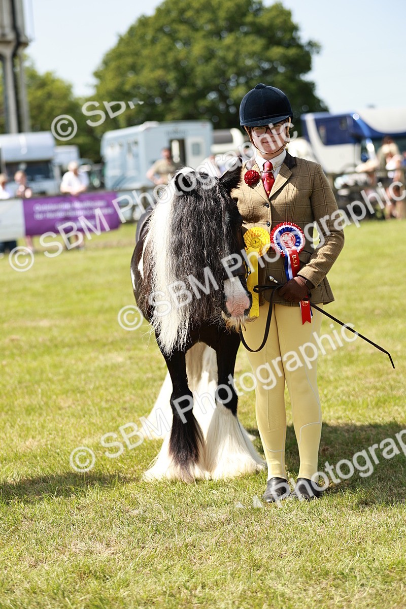SBM_04278 - Class 39-40 - BSPA Coloured In Hand