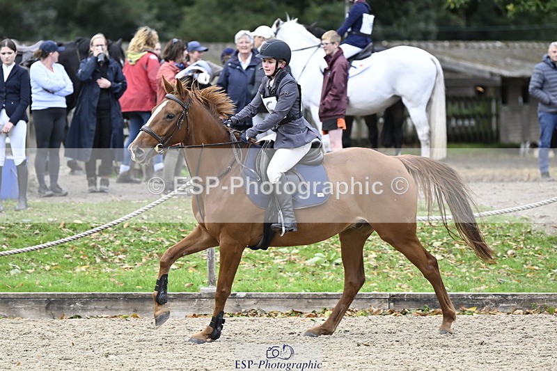 251005A-130143-04008 - Cls 08 Mini 70-75cm