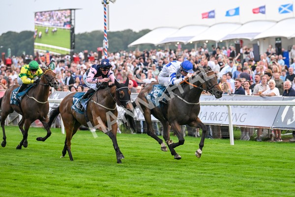 250725-Race 4-Dicko The Legend-5932 - Race 4 7.13pm Tomahawk Restaurants Handicap