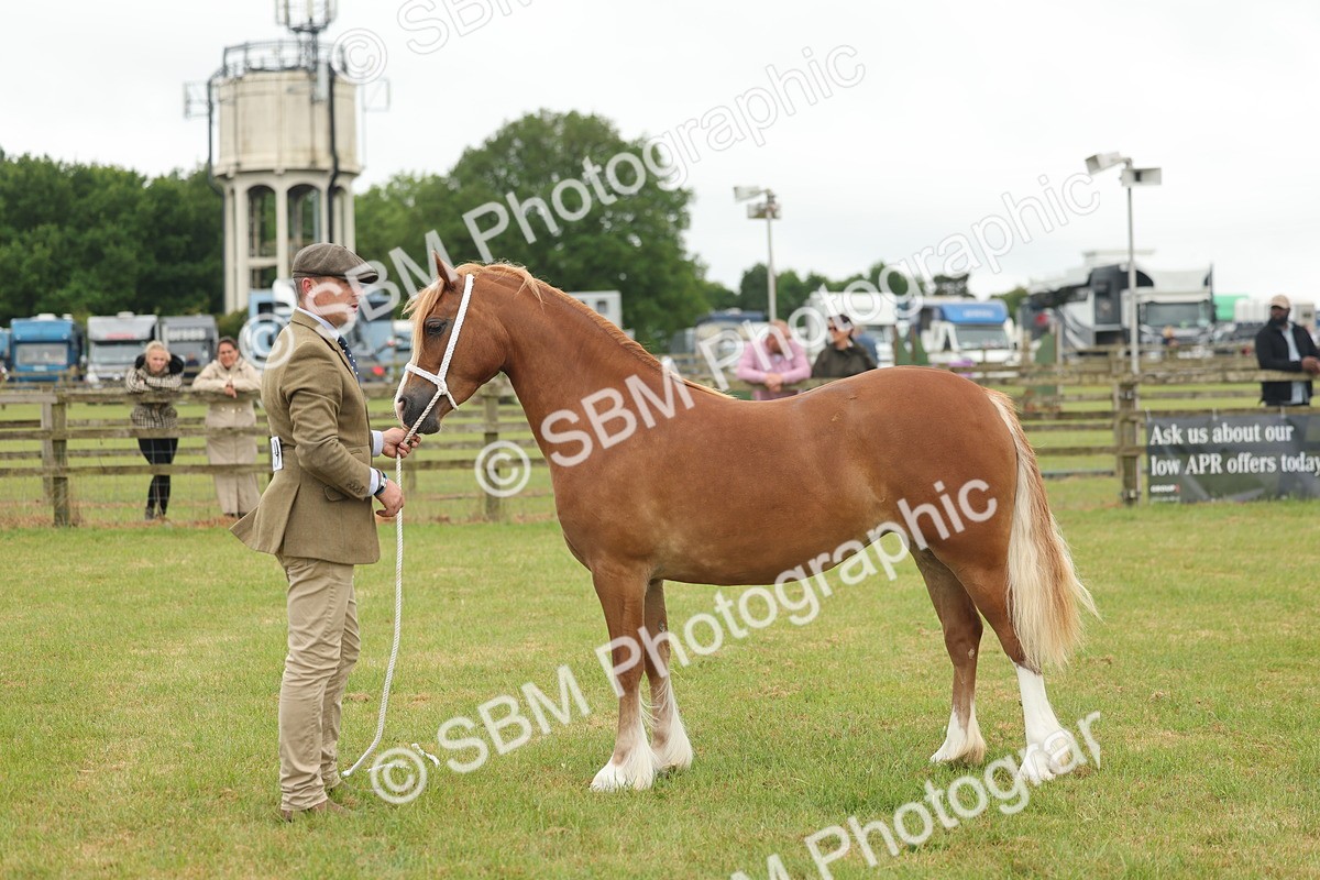 SBM_02349 - Class 50-57 - M&M Welsh Pony In Hand