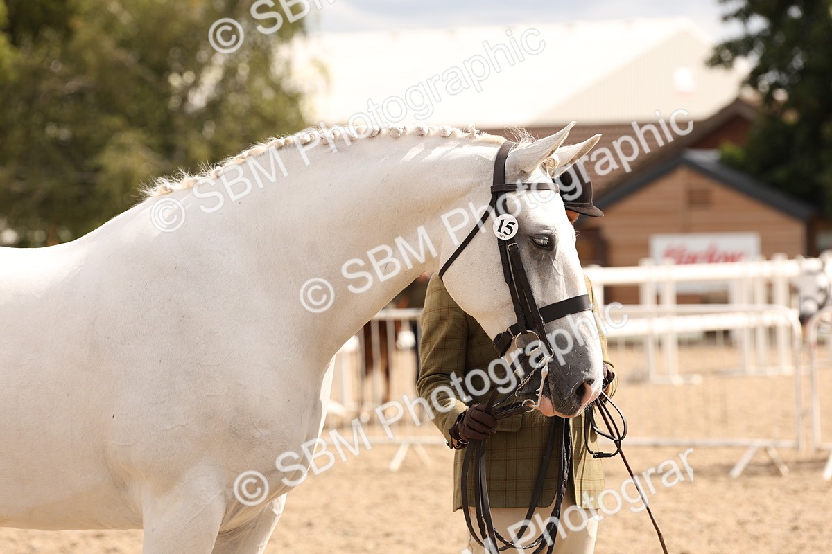 SBM_14700 - Class 208 - IH Veteran Horse