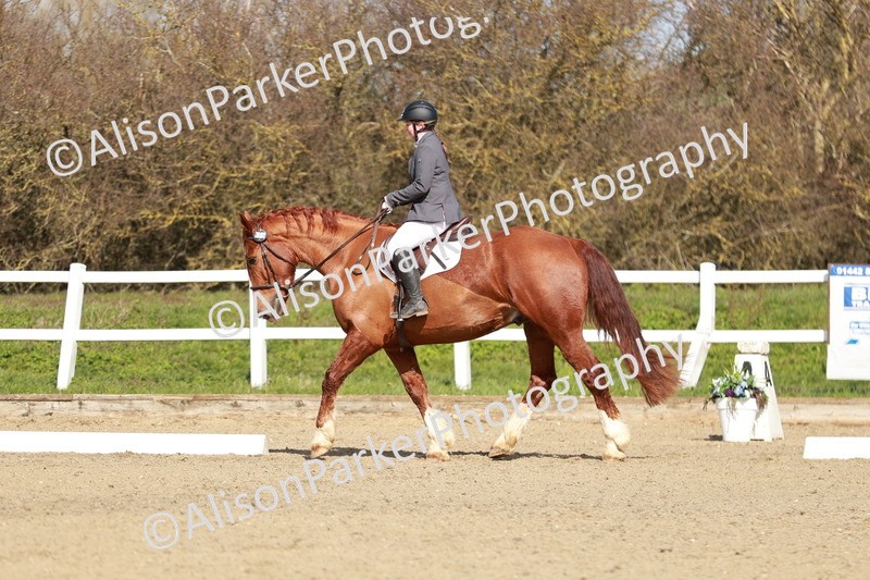 20260314-2835 - DR3 - Prelim 1