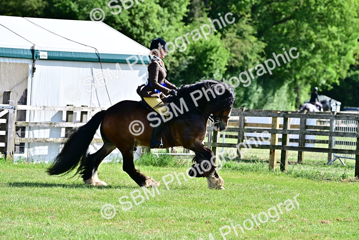 SBM_09518 - Class 63-65 - Traditional Gypsy Cobs In Hand & Ridden