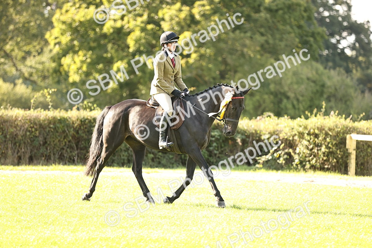 SBM_26516 - S6 - Novice & Newcomers Ridden Horse