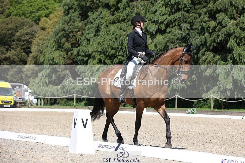 230526-141808-06494 - 373-BENGAL_LORE-Pippa_Taylor-WEDTrotUp+DR