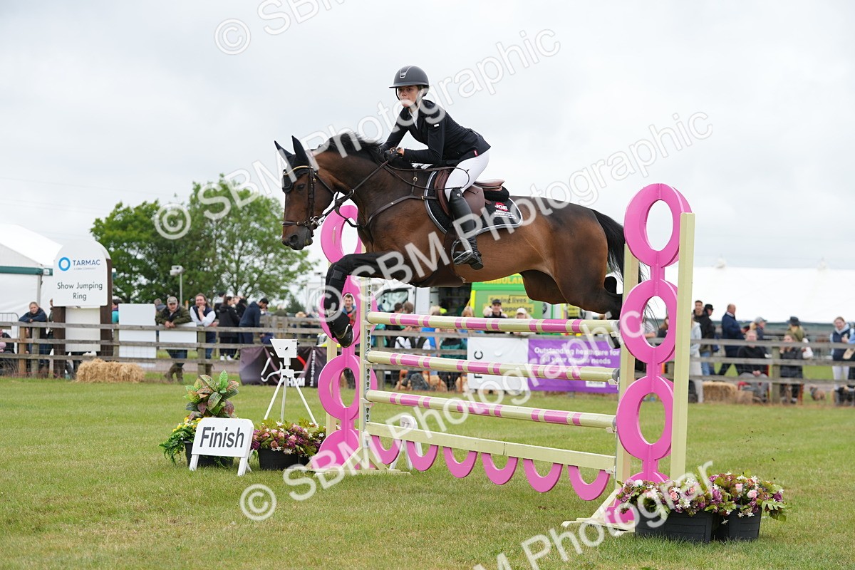 SBM_05200 - Class 201 - British Horse Feeds Speedi Beet Horse of the Year Show Grade  C