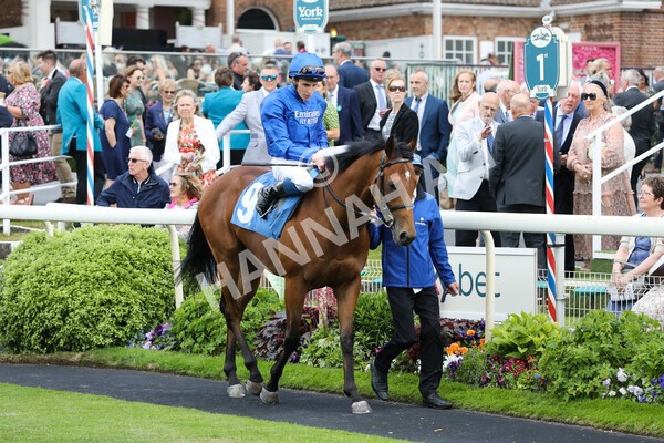 yr11062022r6-14 - Race 6 4.15pm Reg Griffin Appreciation EBFstallions.com Maiden Stakes