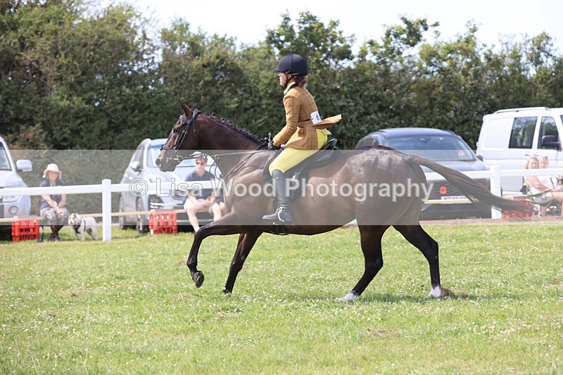 JPP_3572 - Class 23: Working Hunter 80cm