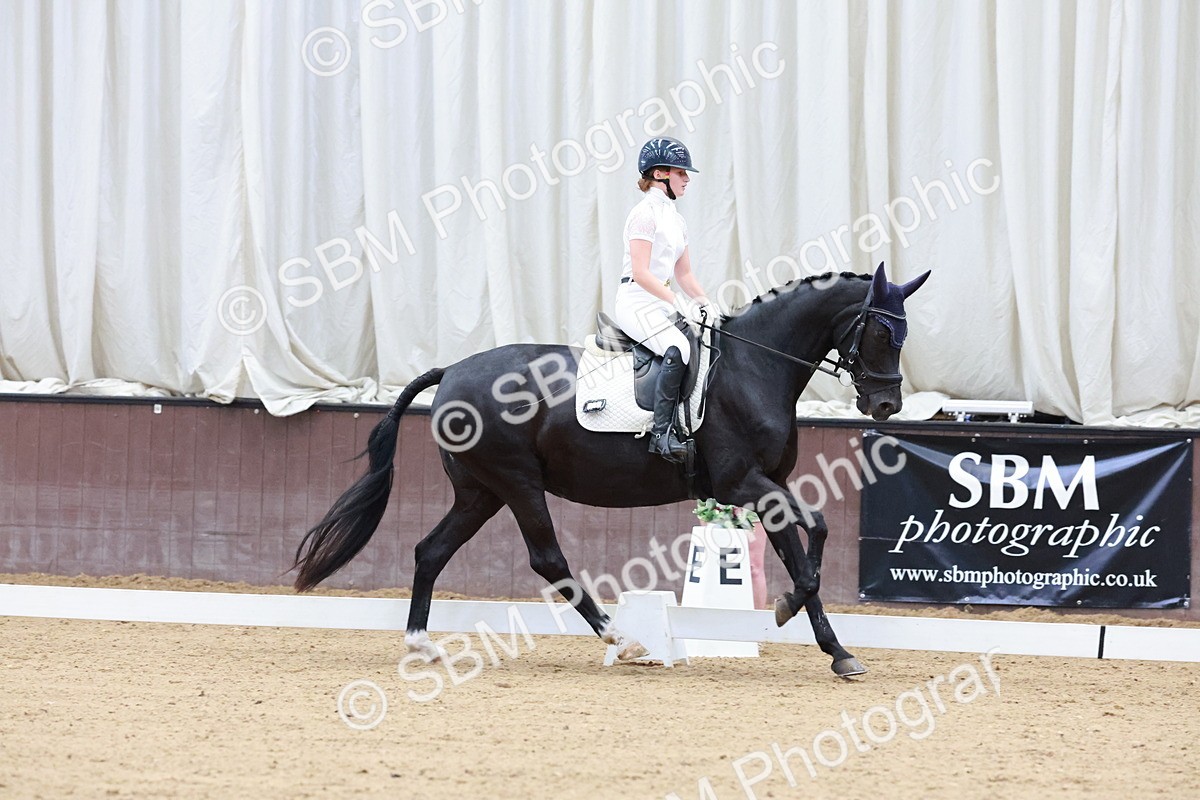 SBM_002328 - Novice 2 - Elementary 1