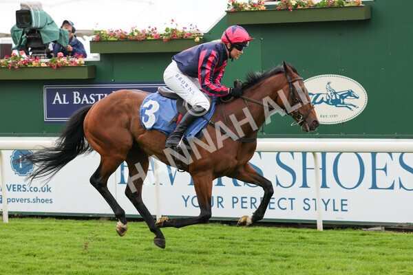 yr11062022r1-164 - Race 1 12.45pm Macmillan Ride of Their Lives, supported by Sky Bet