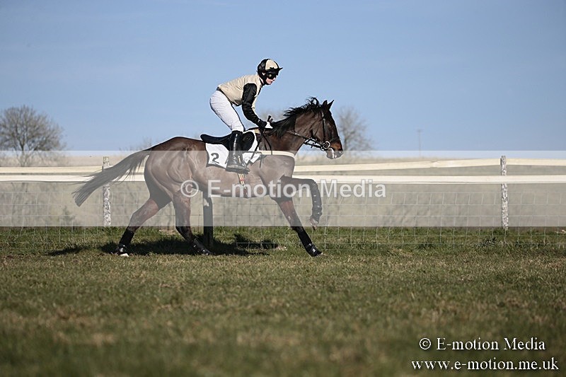 PtP 240218 452 - Vine & Craven Hunt Point-to-Point Barbury racecourse 24/02/18