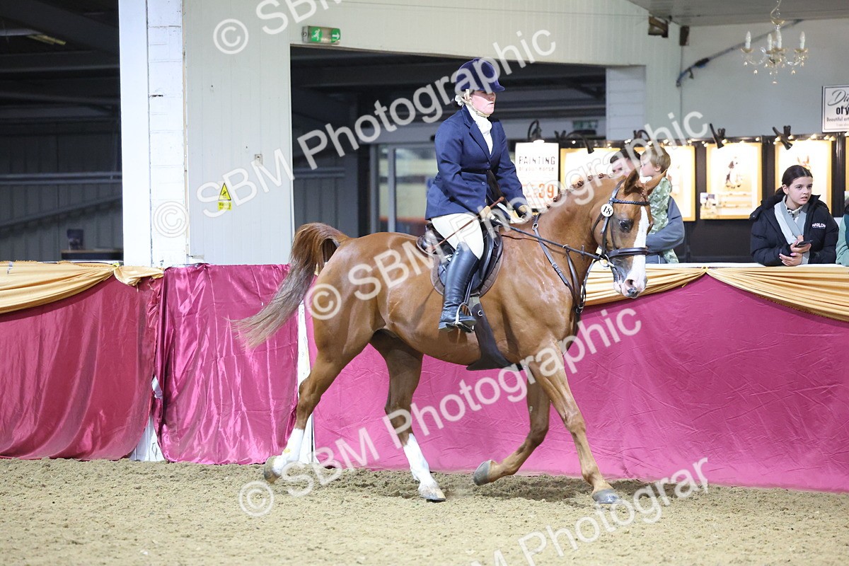 0B8A4658 - Class R Working Veteran Champ