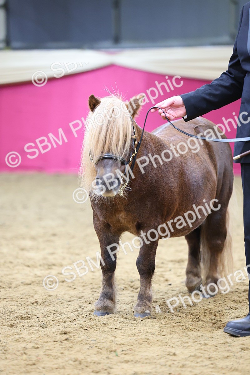 SBM_21161 - Class 902 - Supreme Final IH Veteran